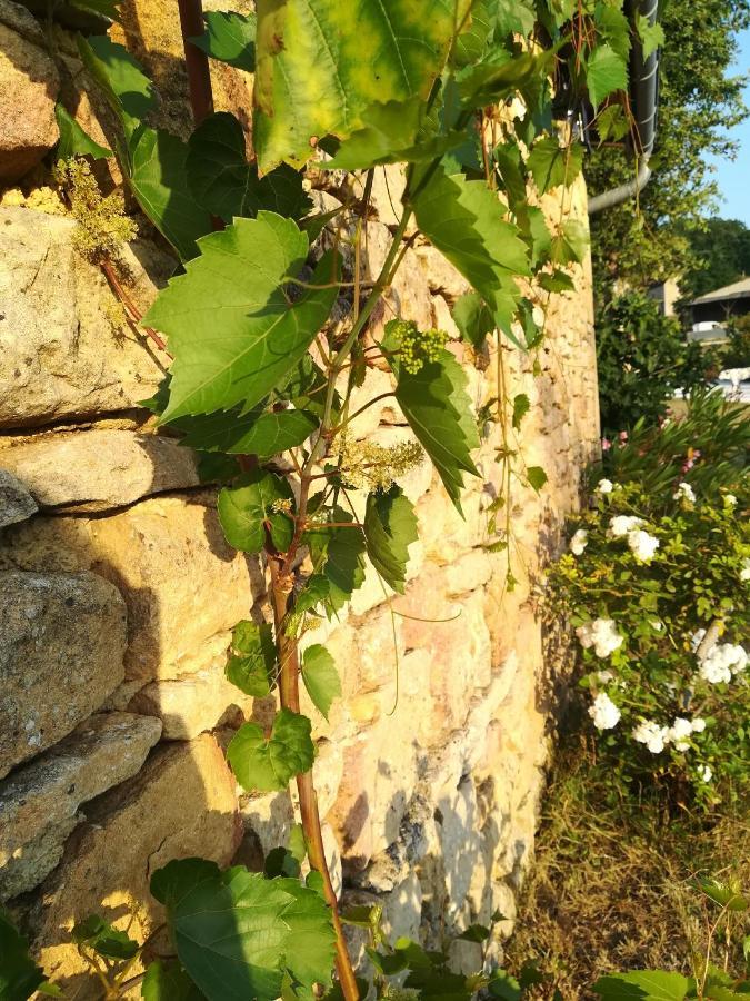 O Reve De Gabriel Bed & Breakfast Saint-Amand-de-Coly Exterior photo