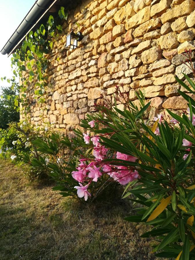 O Reve De Gabriel Bed & Breakfast Saint-Amand-de-Coly Exterior photo